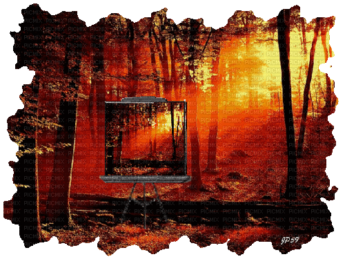 Forest - Ilmainen animoitu GIF