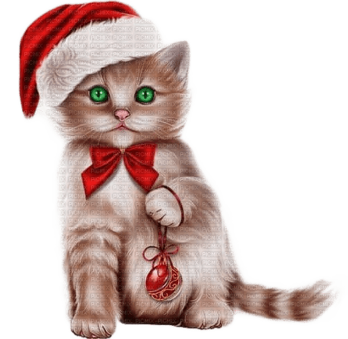 Chat avec une boule de Noël - 免费PNG