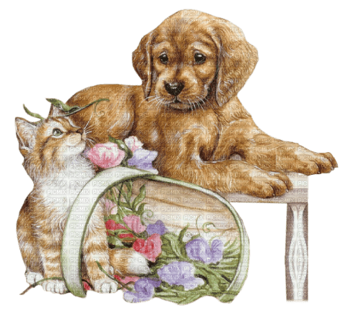 Dog and cat with flowers - bezmaksas png
