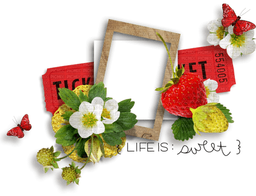 Strawberry Frame - PNG gratuit