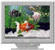 fish tv television vaporwave - GIF animé gratuit