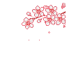 cherry blossom - GIF เคลื่อนไหวฟรี