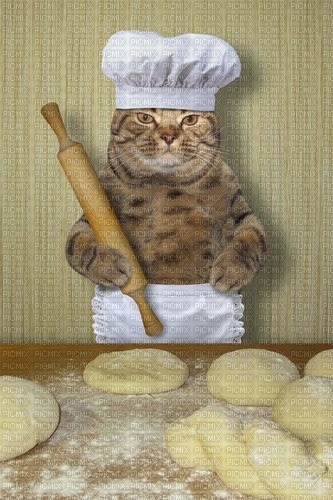gatto cuoco - nemokama png
