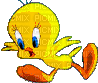 duck - GIF animado grátis