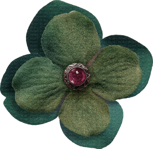 Flower Blume  (1) - Free PNG