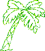 palm tree glitter - Ingyenes animált GIF