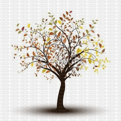 arbre automne - png gratis