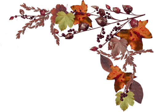 autumn corner leaves kikkapink - png ฟรี