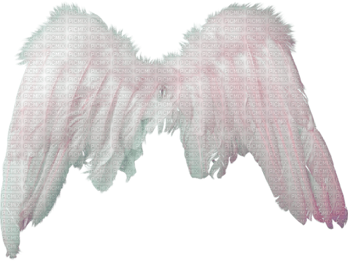 fluffy angel wings - png grátis