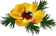 flowers gif katrin - GIF animado grátis