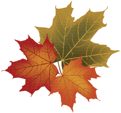 leaves  Bb2 - kostenlos png