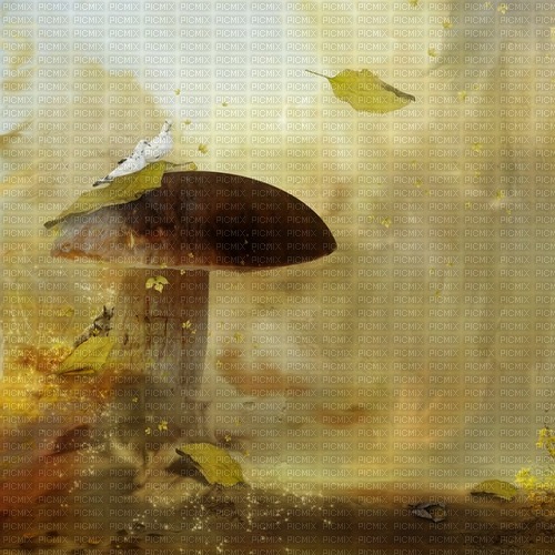 fantasy mushroom background - бесплатно png