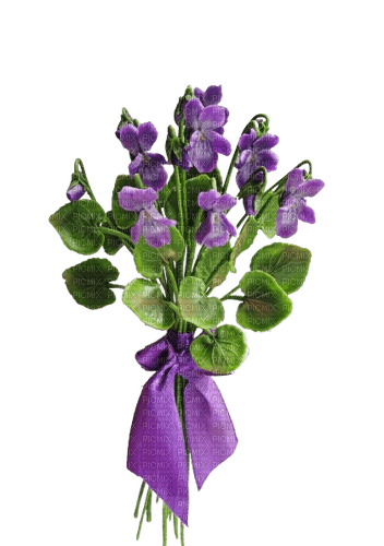 violets cute - ilmainen png