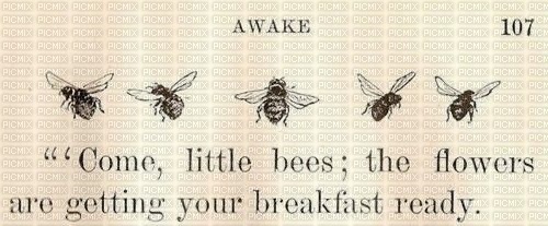 little bees book - ücretsiz png
