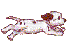 dalmatien - Darmowy animowany GIF