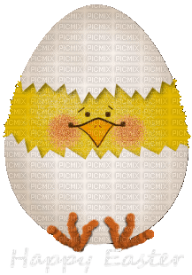 easter ostern Pâques paques  deco tube  eggs eier œufs egg küken chick poussin duck ente text - zadarmo png