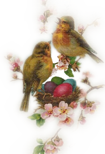 Ostern, Vögel, Nest, Ostereier - фрее пнг