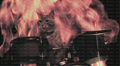 Kaz_Creations  Animated Fire Flames Cat Drums - Gratis animerad GIF