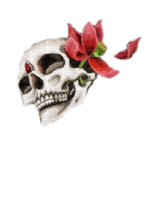 Gothic skull by nataliplus