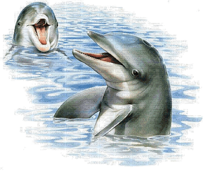 Kaz_Creations Paysage Scenery Dolphins - бесплатно png