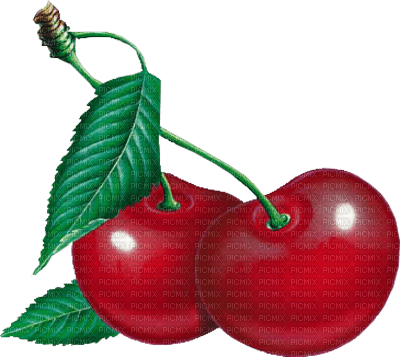Kaz_Creations Cherries Cherry - besplatni png