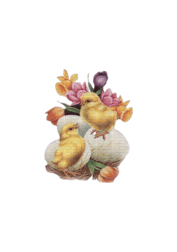Chicken - Free PNG