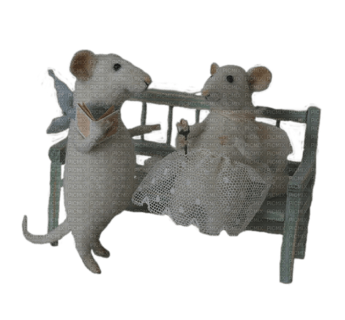 Mäuse, Brautpaar - ingyenes png