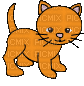 Cat - Darmowy animowany GIF