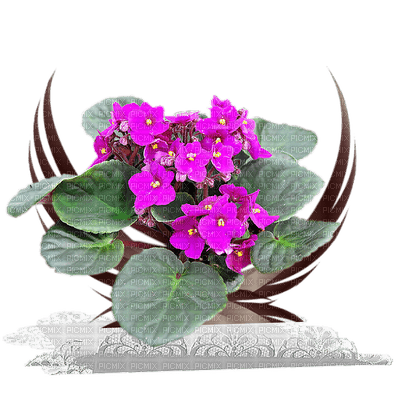 kwiaty - Free PNG