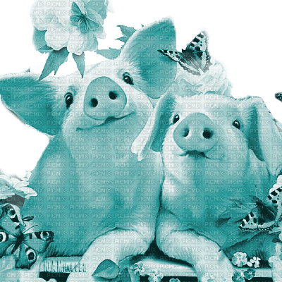 Y.A.M._Summer pigs blue - zdarma png