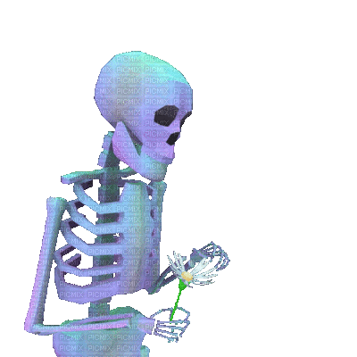Flowers bp - Darmowy animowany GIF