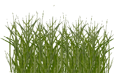 gala grass - Ücretsiz animasyonlu GIF