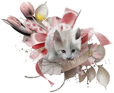 cat (created with gimp) - Ilmainen animoitu GIF