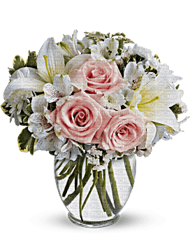 Kaz_Creations  Flowers Vase - kostenlos png