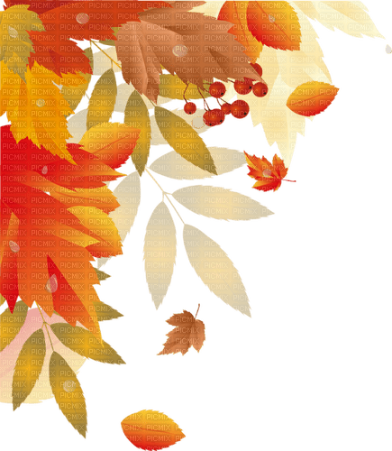 Autumn leaves. Leila - besplatni png