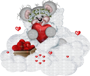 koala bear glitter teddy sweet tube  anime animated animation gif - GIF animé gratuit