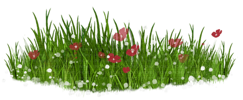 kikkapink deco grass flowers - фрее пнг