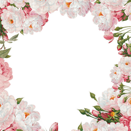 flowers roses frame - 無料png