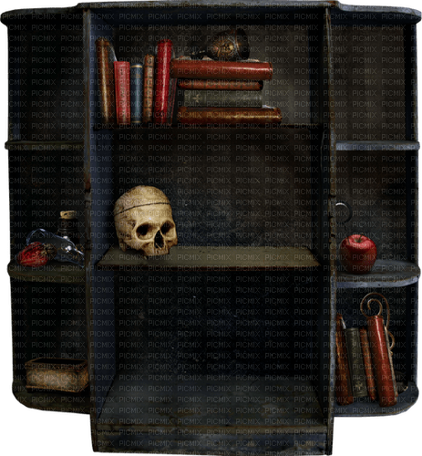 Bookshelf.Books.Skull.Apple.Black.Red.Blue - Free PNG