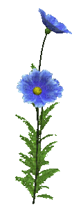 fleur bleu.Cheyenne63 - Бесплатни анимирани ГИФ