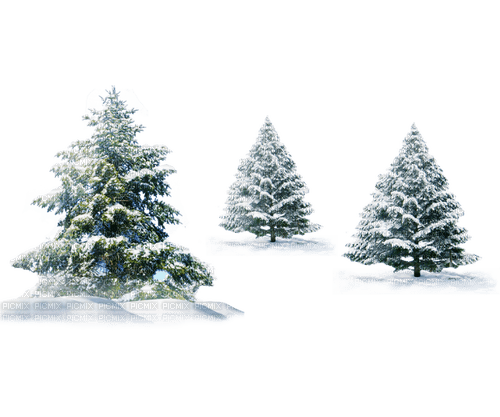 ✶ Christmas Trees {by Merishy} ✶ - png gratis