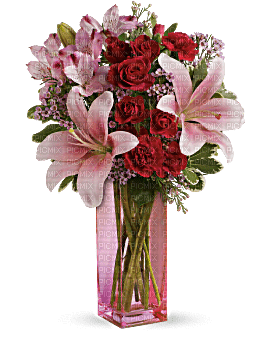 Kaz_Creations  Flowers Vase - png grátis