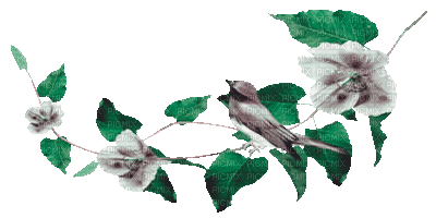 soave deco animated branch  bird green - Animovaný GIF zadarmo