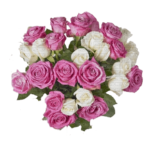 roses_bouquet of roses - PNG gratuit