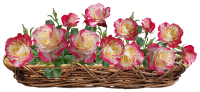 ruusu, roses, kukka, flower, fleur - png gratis