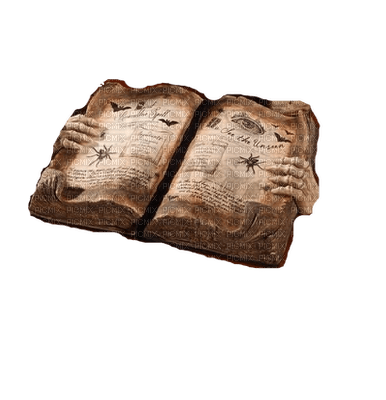book of spells - PNG gratuit
