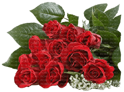 Róże bukiet - фрее пнг