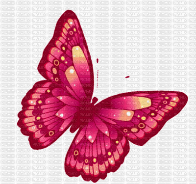 MMarcia gif borboleta papillon - Nemokamas animacinis gif