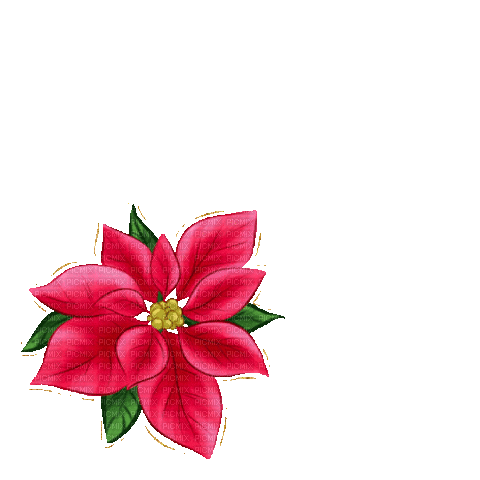 Christmas.Noël.Flower.gif.Victoriabea - Zdarma animovaný GIF