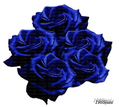 Roses bleues - gratis png